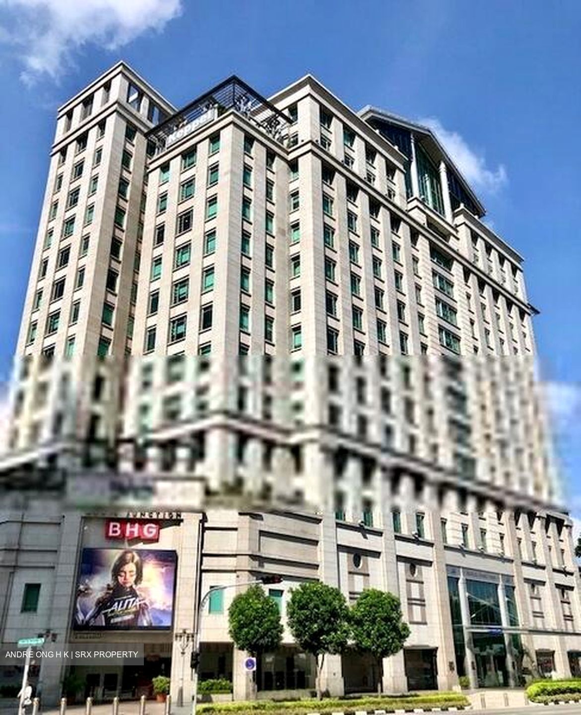 Bugis Junction (D7), Office #455135601